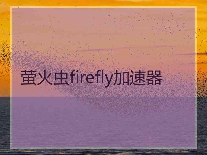 萤火虫firefly加速器