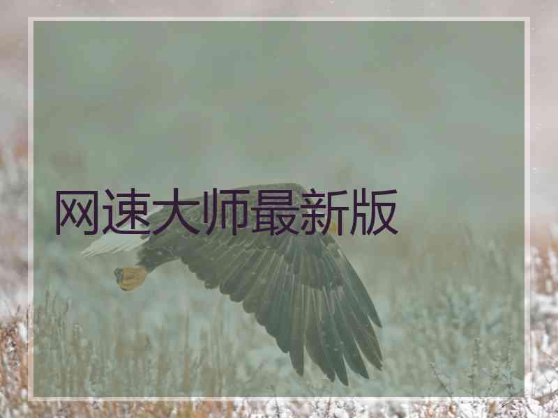 网速大师最新版