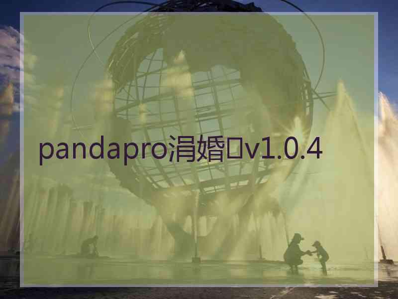 pandapro涓婚v1.0.4