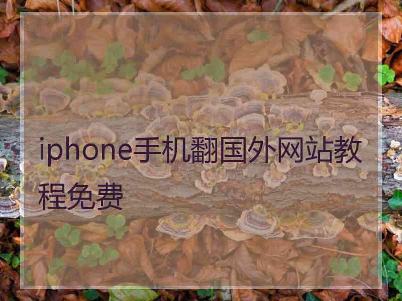 iphone手机翻国外网站教程免费