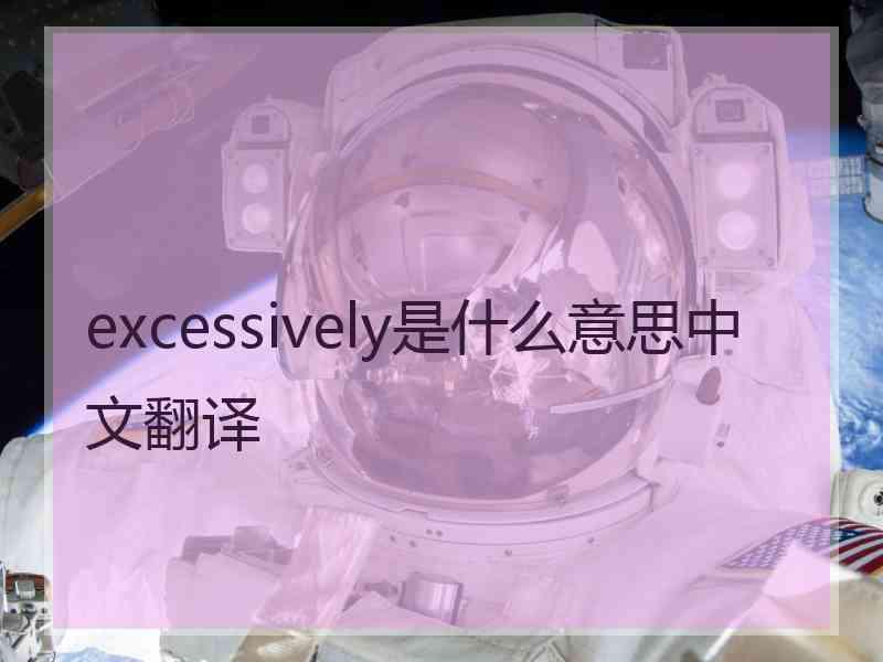 excessively是什么意思中文翻译