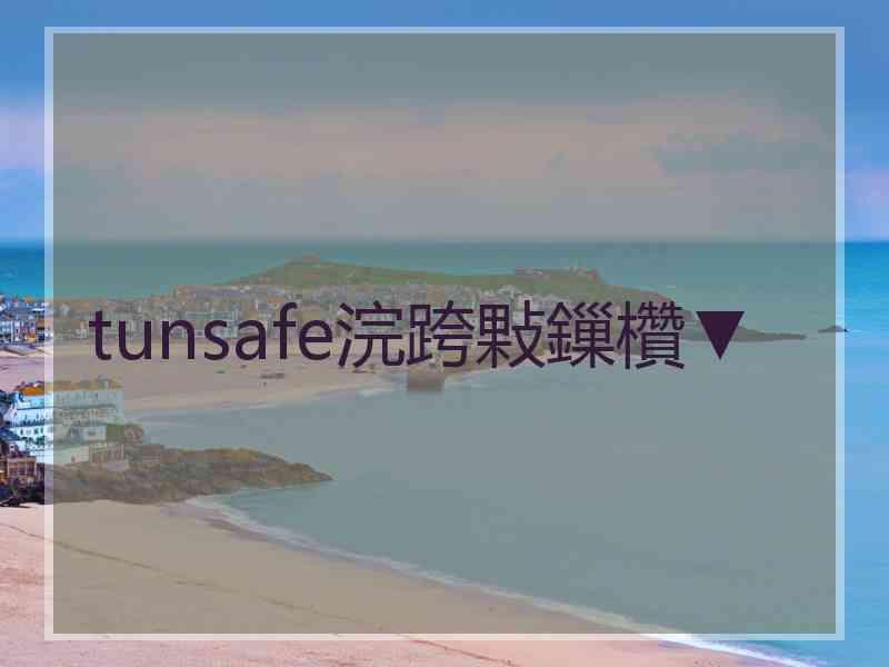 tunsafe浣跨敤鏁欑▼