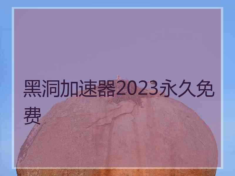 黑洞加速器2023永久免费