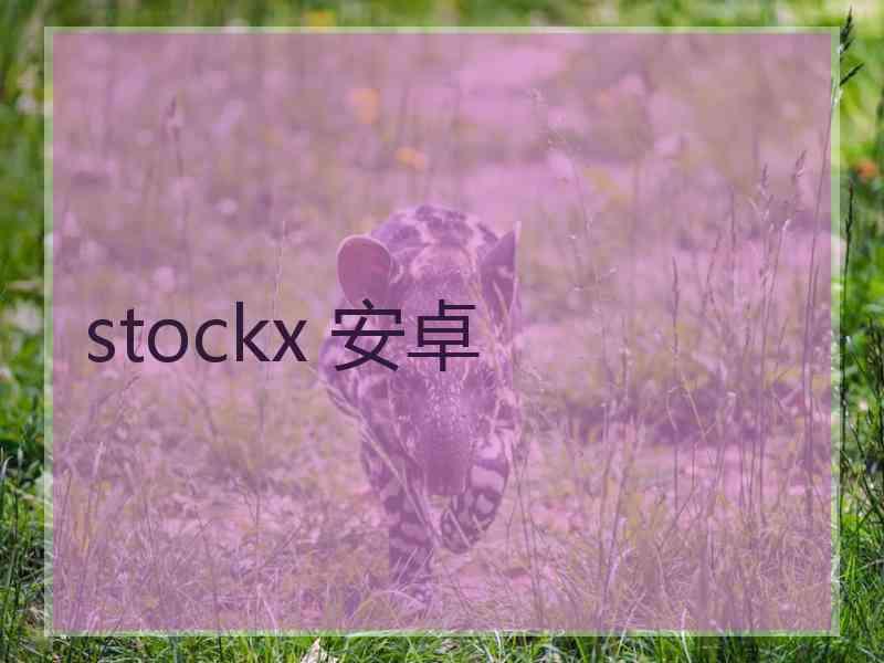 stockx 安卓