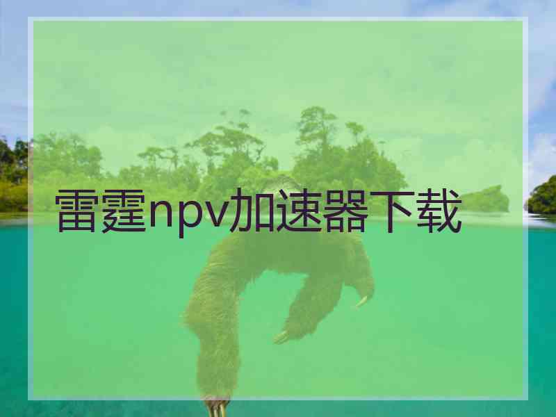 雷霆npv加速器下载