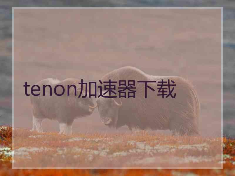 tenon加速器下载