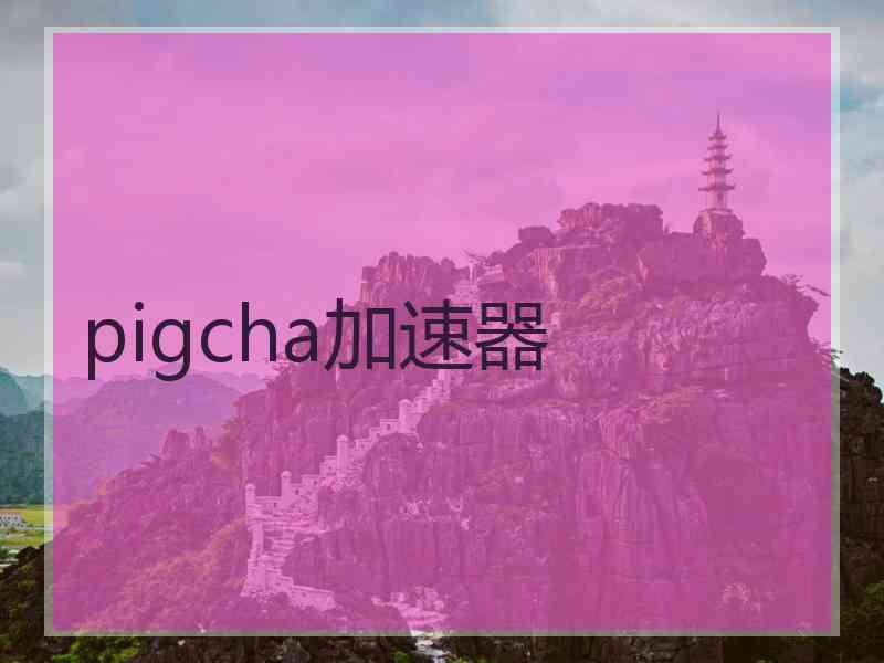 pigcha加速器